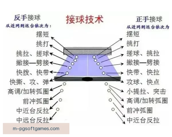 乒乓球技巧大全：提升发球、接发、击球技能，成为乒乓球高手