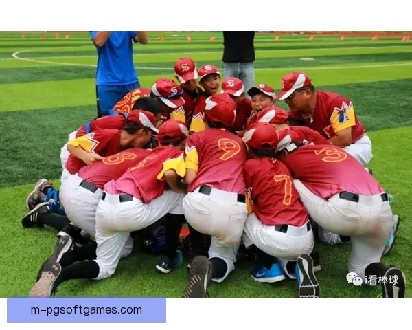 全垒打集锦：一场激动人心的棒球盛宴