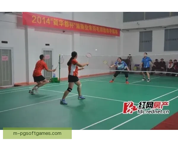 全球羽毛球巅峰对决：挑战者之战