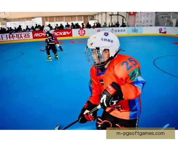 冰球积分榜实时更新，助你赛程掌控