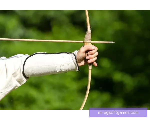 射击历史记载：弓箭历史悠久，枪炮革新演变