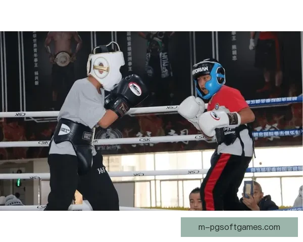 拳击世界纪录：记录挑战与突破的辉煌时刻