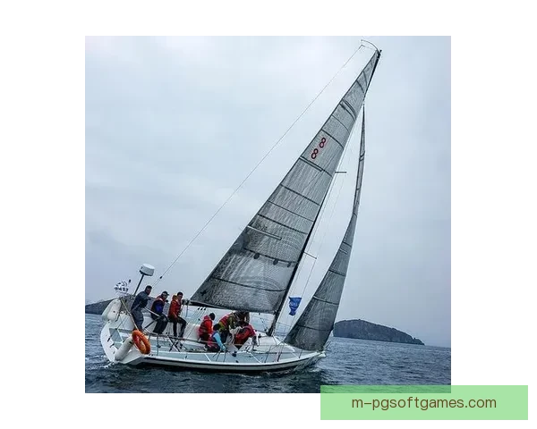 帆船训练策略大揭秘,专家教你掌握技巧 帆船训练策略大揭秘,专家教你掌握技巧