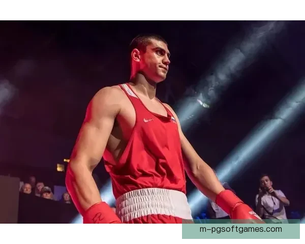 拳击王者的辉煌时刻:冠军之路 拳击王者的辉煌时刻:冠军之路