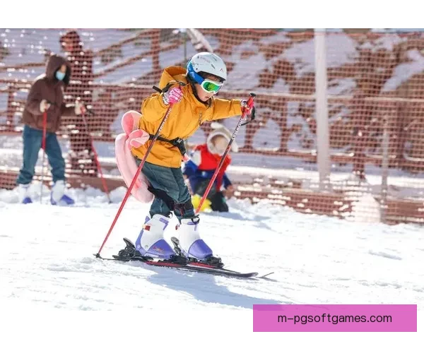 滑雪新规则下的挑战与乐趣