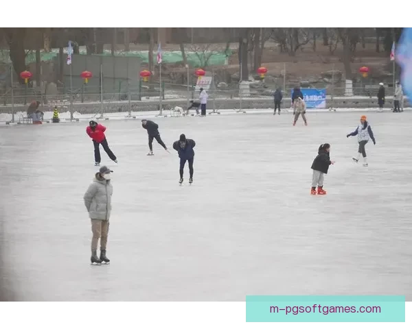 滑冰数据分析：揭秘冰场上的精准动作探秘