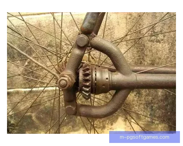 自行车演变史：从简单车辆到现代交通利器