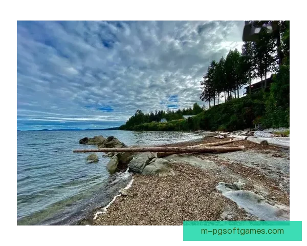 精彩呈现：山地车赛事纪实与精彩巅峰